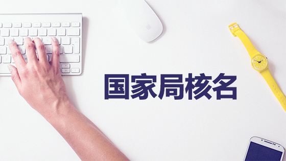 鄭州開公司網上核名