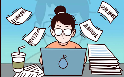 河南省企業(yè)登記全程電子化服務(wù)平臺怎么看核準駁回的原因